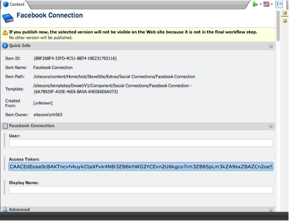 17_paste-access-token